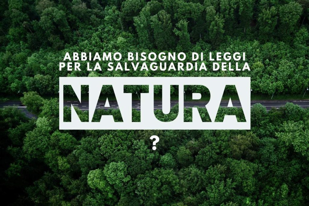 La tutela dell'ambiente non è solo una questione di leggi e normative, ma richiede un impegno attivo da parte di tutti noi. Ogni cittadino ha il potere di fare la differenza scegliendo prodotti sostenibili, riducendo il proprio consumo e adottando comportamenti eco-compatibili.