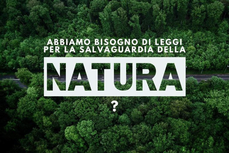 La tutela dell'ambiente non è solo una questione di leggi e normative, ma richiede un impegno attivo da parte di tutti noi. Ogni cittadino ha il potere di fare la differenza scegliendo prodotti sostenibili, riducendo il proprio consumo e adottando comportamenti eco-compatibili.